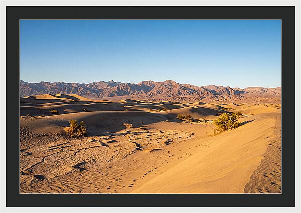 Black Rock Desert Vista