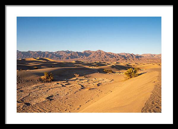 Black Rock Desert Vista