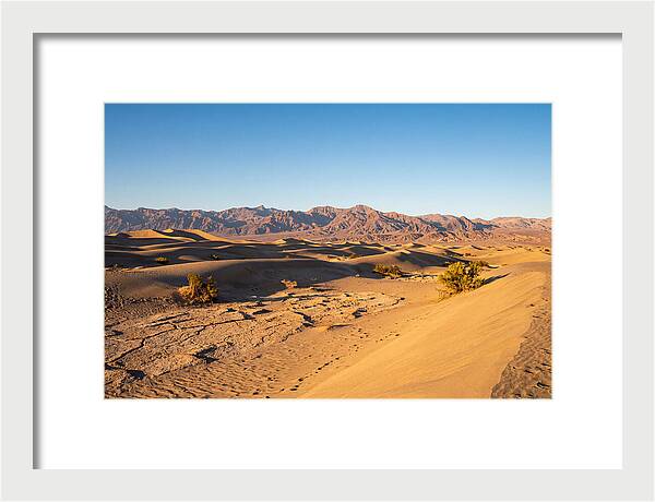 Black Rock Desert Vista