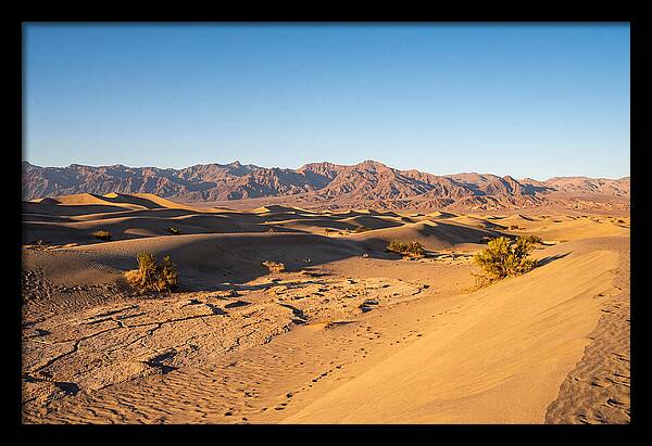 Black Rock Desert Vista