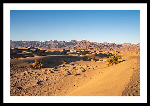 Black Rock Desert Vista