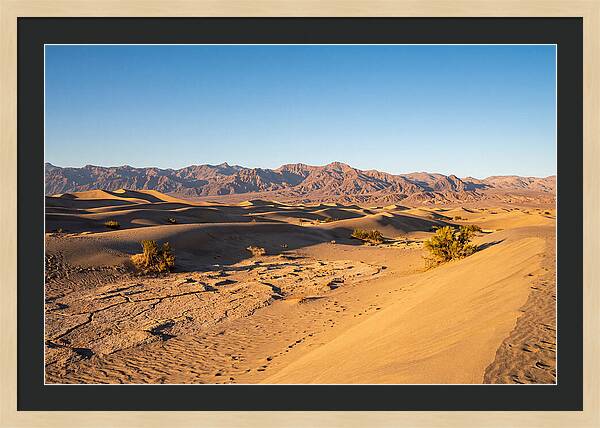 Black Rock Desert Vista