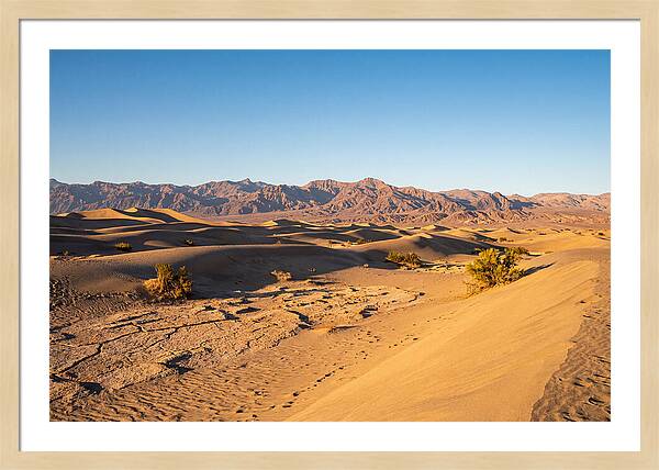 Black Rock Desert Vista