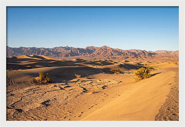 Black Rock Desert Vista