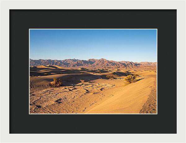 Black Rock Desert Vista