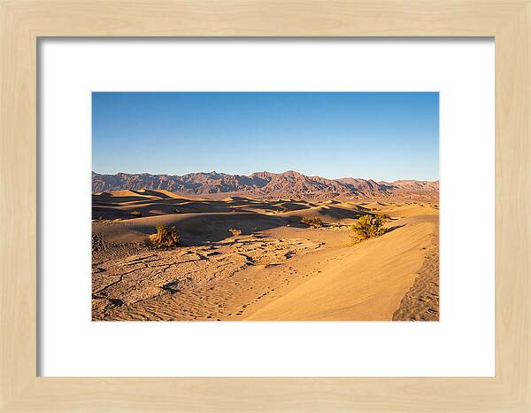 Black Rock Desert Vista