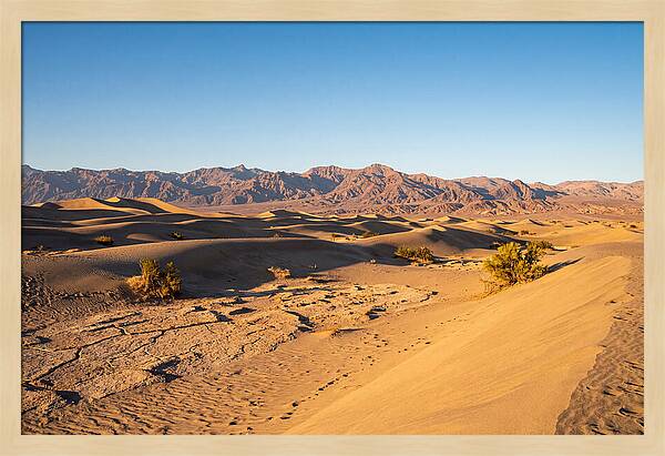 Black Rock Desert Vista
