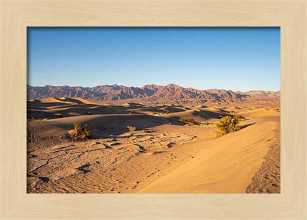 Black Rock Desert Vista