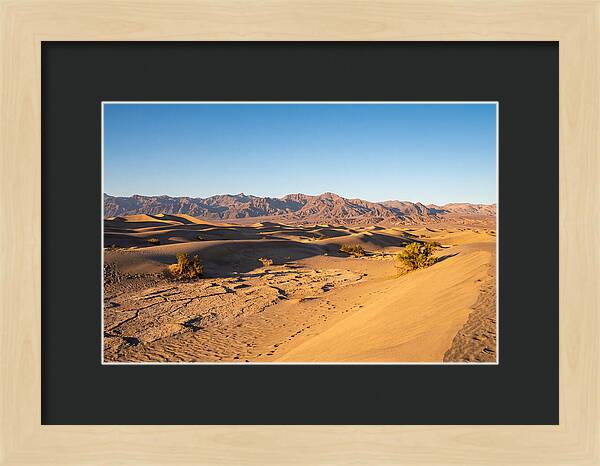 Black Rock Desert Vista