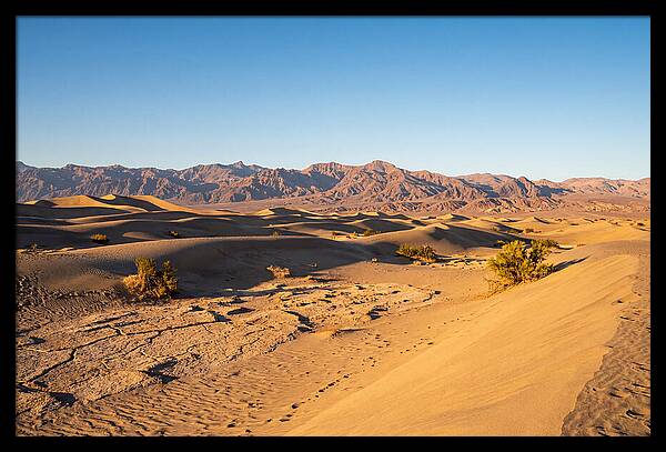 Black Rock Desert Vista