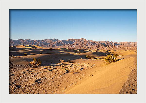 Black Rock Desert Vista