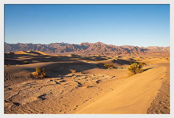 Black Rock Desert Vista