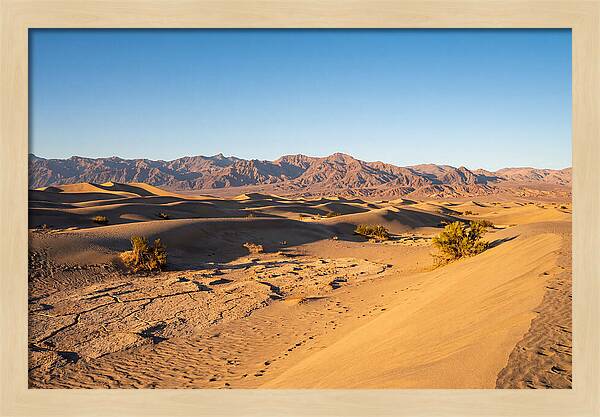 Black Rock Desert Vista
