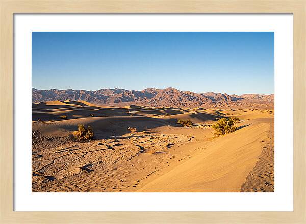 Black Rock Desert Vista