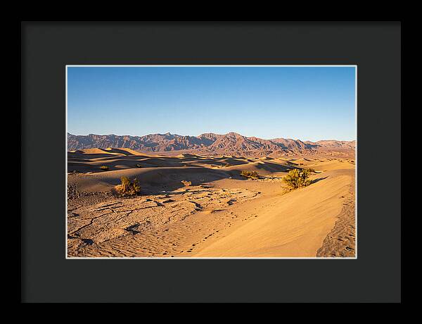 Black Rock Desert Vista