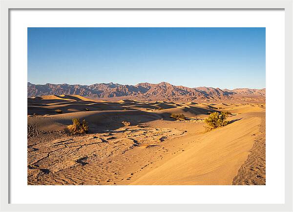 Black Rock Desert Vista
