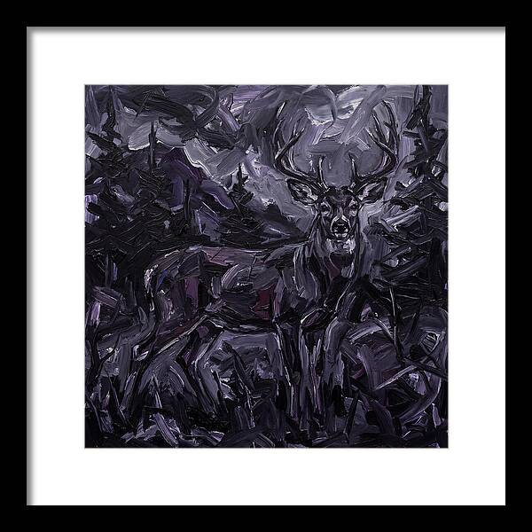 Black Tailed Deer In Shadows