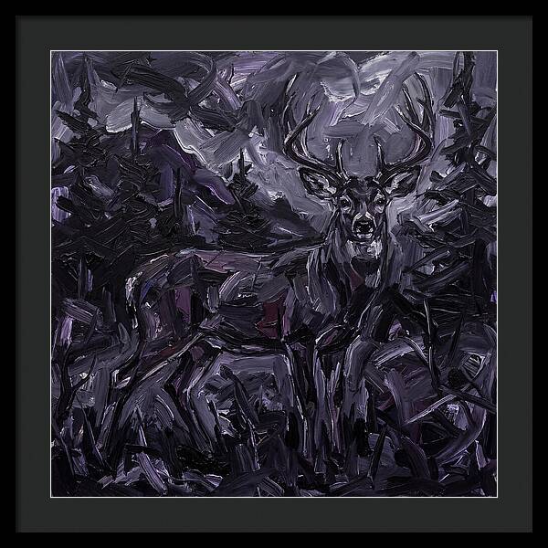 Black Tailed Deer In Shadows