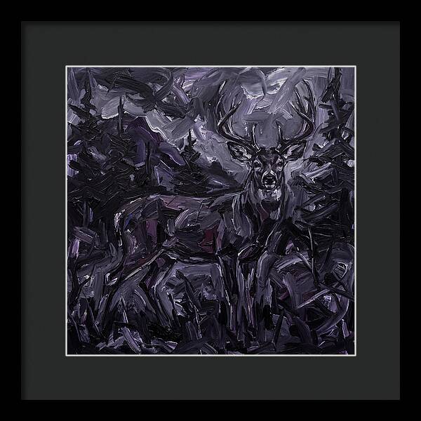 Black Tailed Deer In Shadows