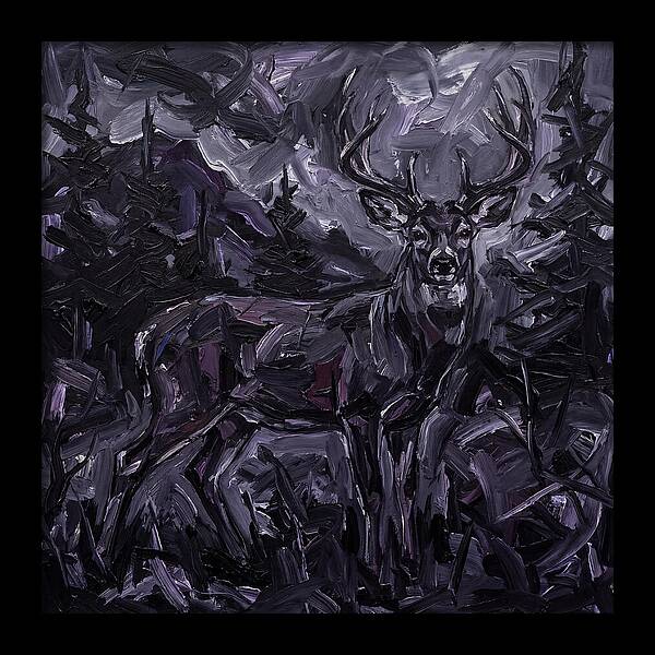 Black Tailed Deer In Shadows
