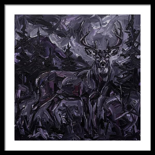 Black Tailed Deer In Shadows