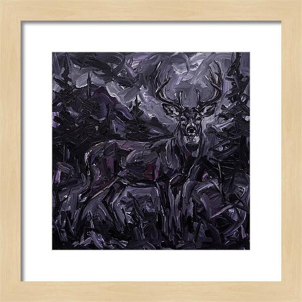Black Tailed Deer In Shadows
