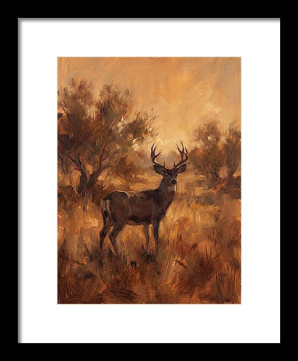 Black Tailed Deer In Twilight