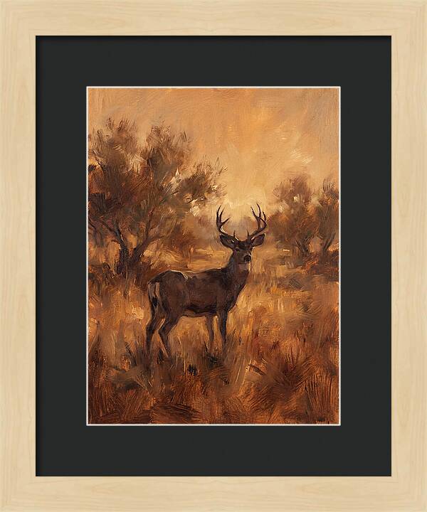Black Tailed Deer In Twilight