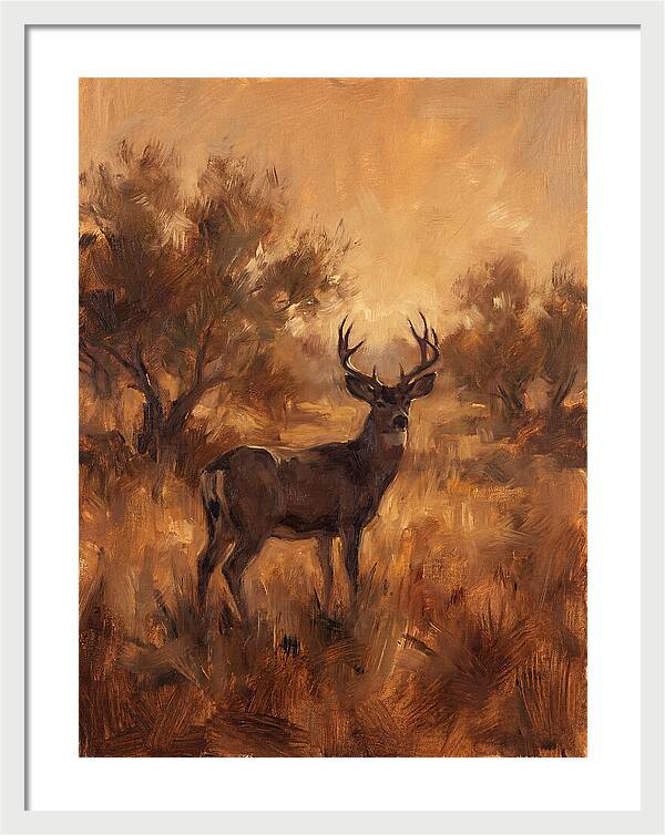 Black Tailed Deer In Twilight