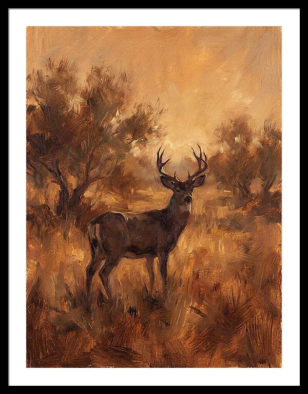 Black Tailed Deer In Twilight