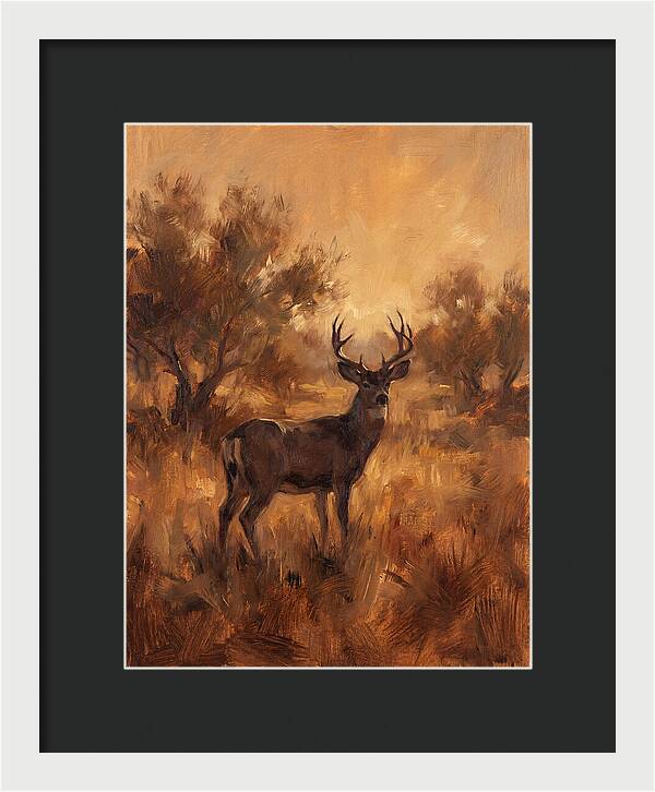 Black Tailed Deer In Twilight
