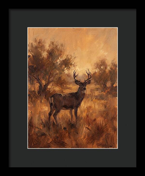 Black Tailed Deer In Twilight