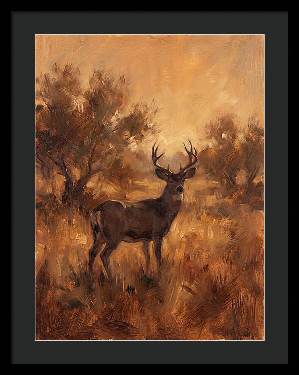 Black Tailed Deer In Twilight