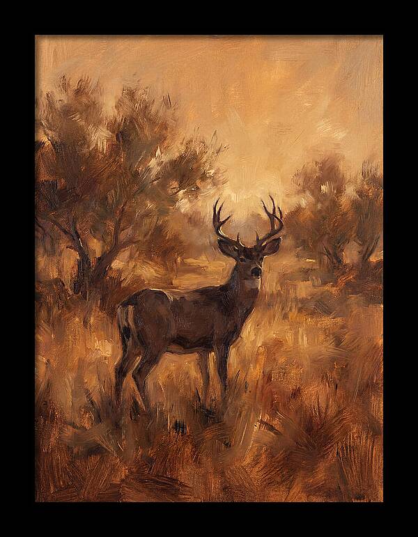 Black Tailed Deer In Twilight