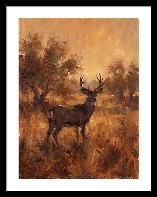 Black Tailed Deer In Twilight