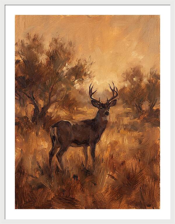 Black Tailed Deer In Twilight
