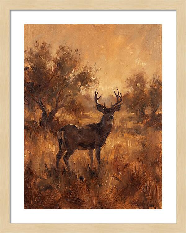 Black Tailed Deer In Twilight
