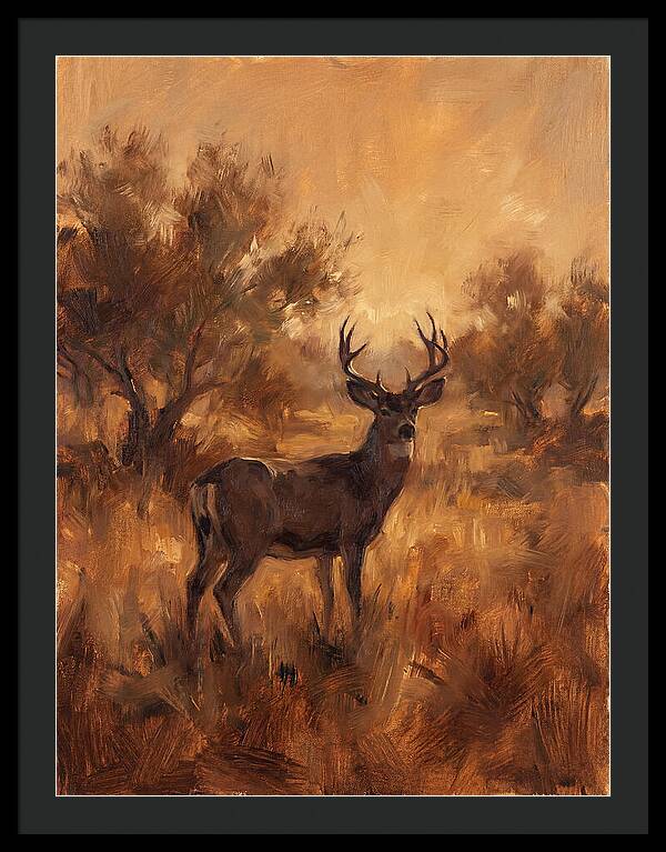 Black Tailed Deer In Twilight