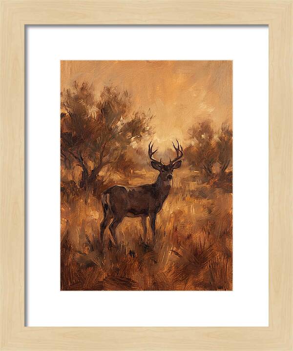 Black Tailed Deer In Twilight