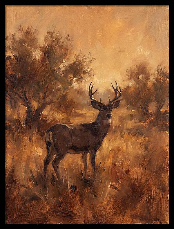 Black Tailed Deer In Twilight