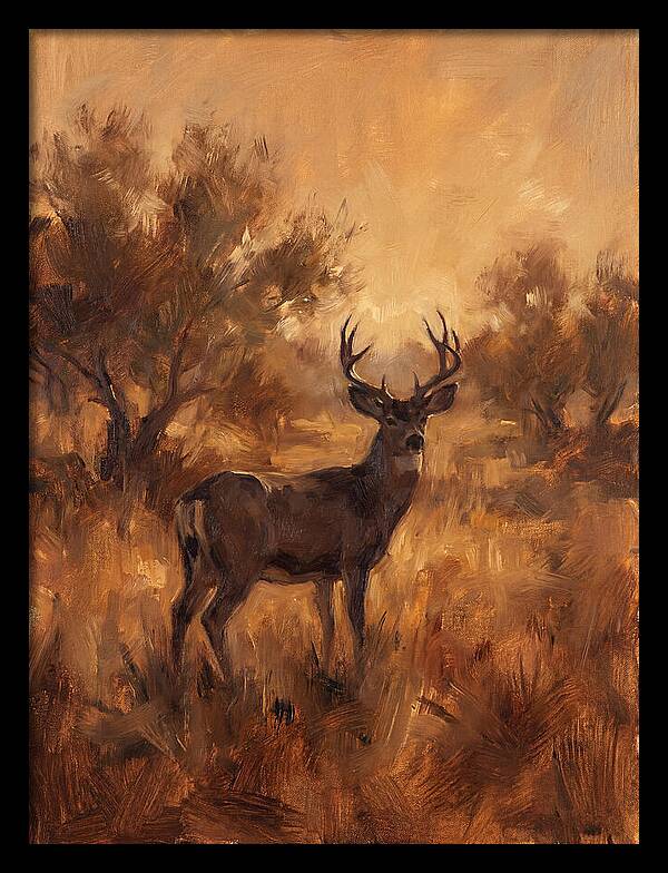 Black Tailed Deer In Twilight