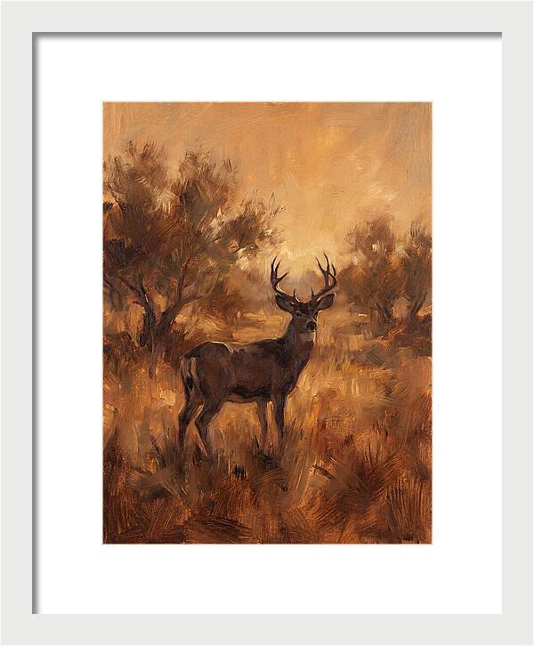 Black Tailed Deer In Twilight