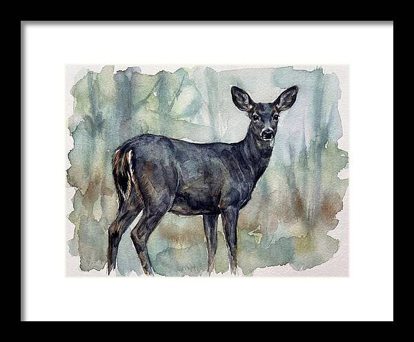 Black Tailed Deer Serenity
