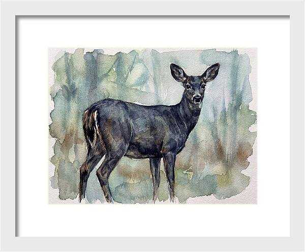 Black Tailed Deer Serenity