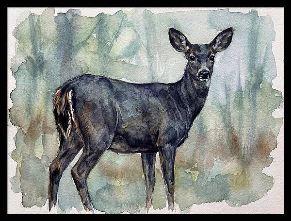 Black Tailed Deer Serenity
