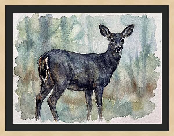 Black Tailed Deer Serenity