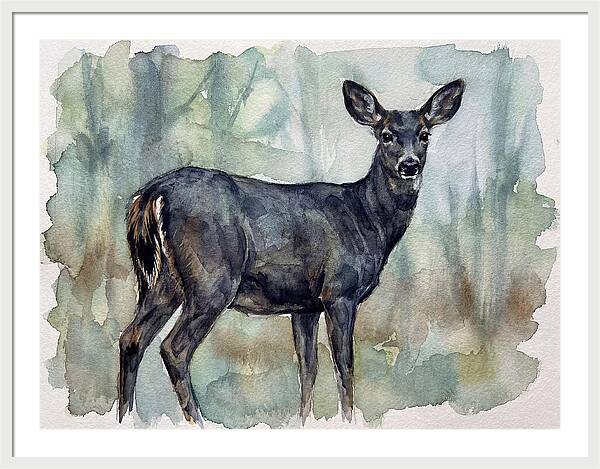 Black Tailed Deer Serenity