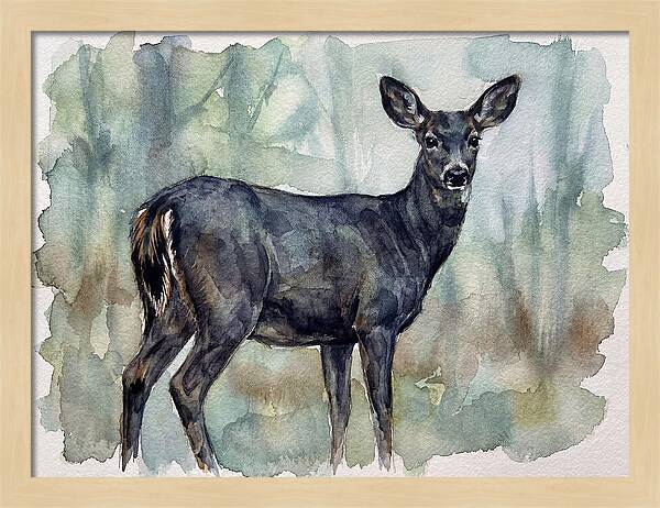Black Tailed Deer Serenity