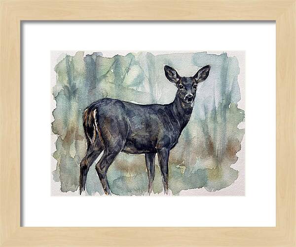 Black Tailed Deer Serenity