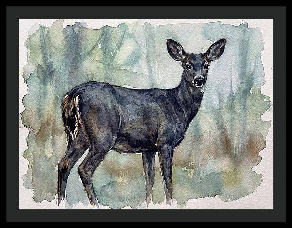 Black Tailed Deer Serenity